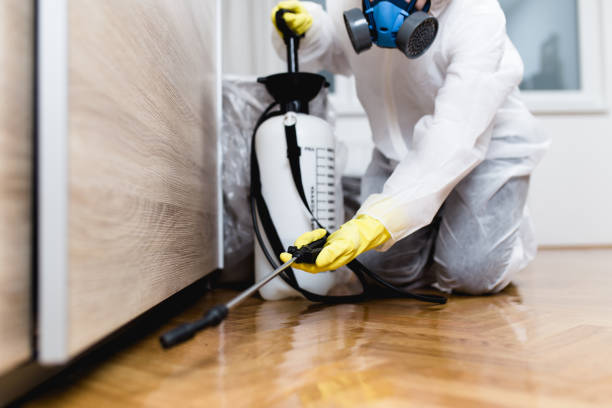 Best Cockroach Control Services  in Salmon Creek, WA