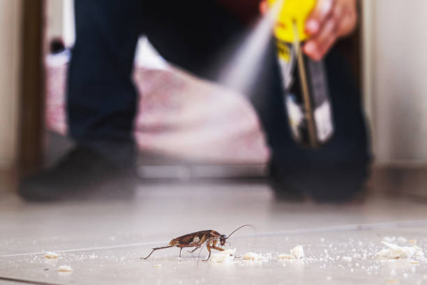 Best Best Pest Control Companies  in Salmon Creek, WA