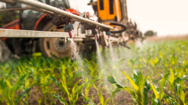 Best Mosquito Control Services  in Salmon Creek, WA